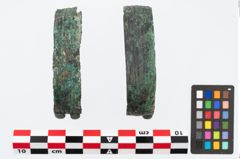 Foto von Bronzebandarmreif (NHMW-PRAE-024008)